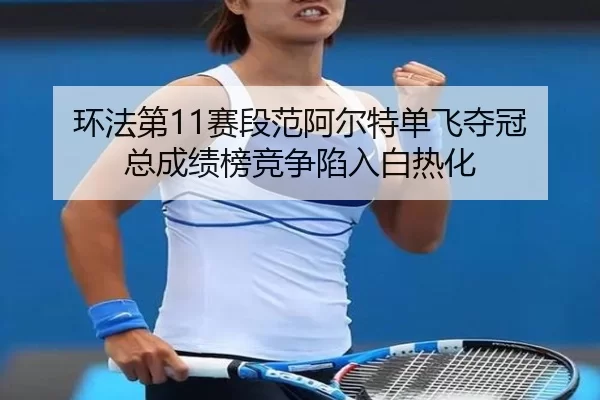 huan-fa-di-sai-duan-fan-a-er-te-dan-fei-duo-guan-zong-cheng-ji-bang-jing-zheng-xian-ru-bai-re-hua-2-168.jpg