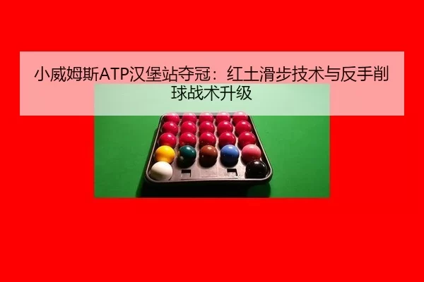 xiao-wei-mu-si-han-bao-zhan-duo-guan-hong-tu-hua-bu-ji-shu-yu-fan-shou-xiao-qiu-zhan-shu-sheng-ji-3-845.jpg